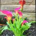 Donna Lockman - Facebook