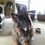 Donna Lofgren - @dmlofgren - Instagram