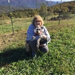 Donna Loflin Carpenter - @donnaloflincarpenter - Instagram
