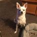 Donna Loftin - Facebook