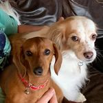 Donna Loftin - @loftin925 - Instagram