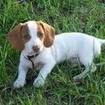 Donna Loftin Carroll - @donnacarroll1776 - Instagram
