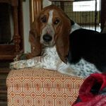 Donna Osborn Loftin - @loftindonna - Instagram