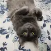 Donnaklohn - @donnaklohn - TikTok