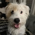 Donna Coyle-Hughes - @lonestardonna - Instagram