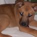 Donna Longenecker - Facebook