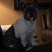 Donna Longo - Facebook