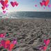 Donna Longo - Facebook