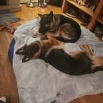 DOnna Longo - @donnajlongo - Instagram
