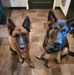 DOnna Longo - Facebook