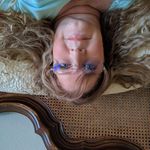Donna Longo-Robb - @longorobb - Instagram