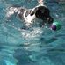 Donna M. Longo - Facebook