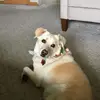 Donna Lowell - @donna.lowell - TikTok