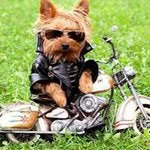 Donna Wells - @donna.longwell.3 - Instagram