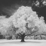 Donna King - @donna.loomis - Instagram