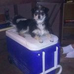 Donna loomis - @loomis6174 - Instagram