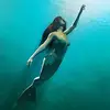 Donna Loomis-Long - @userxk980wh68p - TikTok
