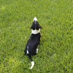 donnaloomis - @donnaloomis62 - Instagram