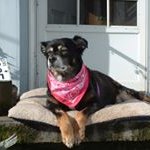 Donna Loop - @donnaloop - Instagram