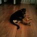Donna Loop - Facebook