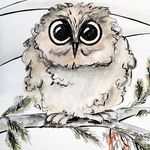 Donna Looper - @rockefeller_stowaway - Instagram
