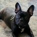 Donna Loper - Facebook