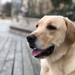 Donna Loo Seow Fern - @donnalooseowfern - Instagram