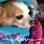 Donna Loos - @donna.loos.397 - Instagram