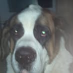 Donna Loos - Facebook