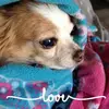 Donna Loos - @donnaloos1 - TikTok