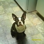 Donna Loper - @loper.donna - Instagram