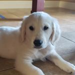 Donna Loper - @donnaloper - Instagram