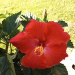Donna Loper - @donnaloper1 - Instagram