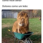 Dolores Lopes - @donna_lopes - Instagram