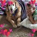 Donna Lorah - Facebook
