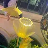 Donna Lovato - @donna.lovato - TikTok