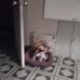 Donna Loven - Facebook