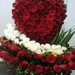 Doina Lovin - Facebook