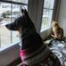 Donna Lovins - Facebook