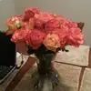 Donna Low - @donna.low5 - TikTok