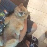 Donna Lowery - @lowery8254 - Instagram