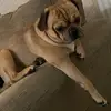 Donnalowery47369 - @donnalowery47369 - TikTok
