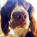 Donna Lowman - Facebook