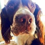 Donna Lowman - @paul.lowman.96 - Instagram