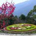 Donna Lu - Facebook
