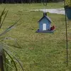 Donna Luce - @donna.luce4 - TikTok