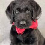 Donna Elaine Luckadoo - @donnaelaineluckadoo - Instagram