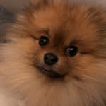 Donna Luckadoo - @donnaluckadoo4566 - Instagram