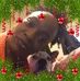 Donna Luckett - Facebook