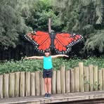 Donna Laddy - Facebook